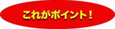 これがポイント