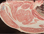 wagyu.png