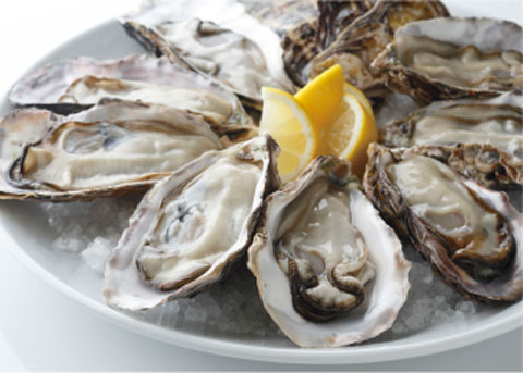 oyster.jpg