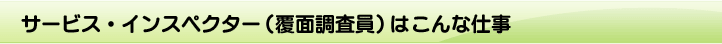 �T�[�r�X�E�C���X�y�N�^�[�i���ʒ������j�͂���Ȏd��