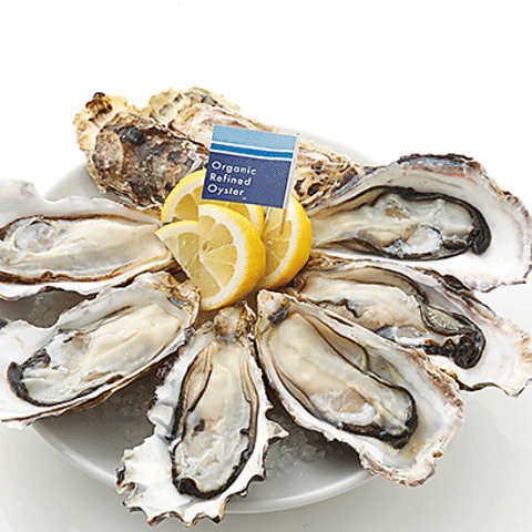 oyster.gif