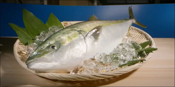 hamachi.jpg