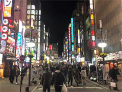 kabukichoS.gif