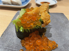ikuraS.gif