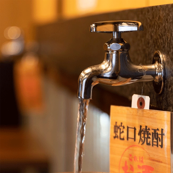 jaguchishochu.gif