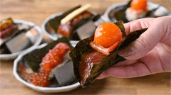 sushidS.gif
